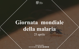 Giornata mondiale della malaria 2023