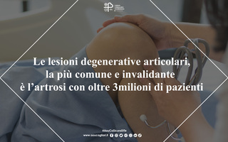 Le lesioni degenerative articolari